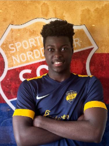 Nicholas Asiedu Okyere Manford