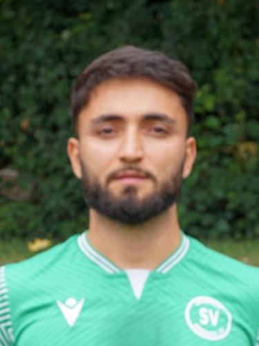 Mohammad Milad Sahebzada