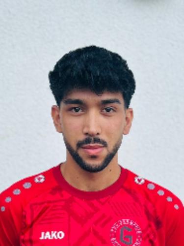 Sayed Mustafa Mosawi
