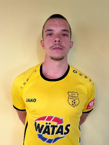 Nico Lotze