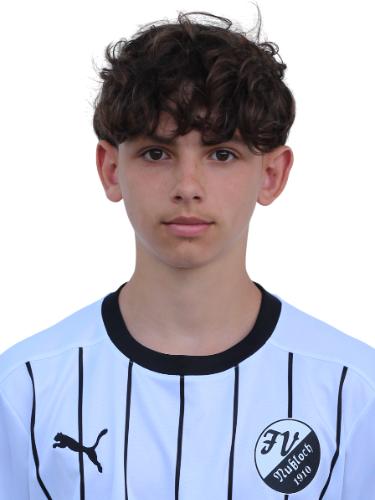Daniel Frei