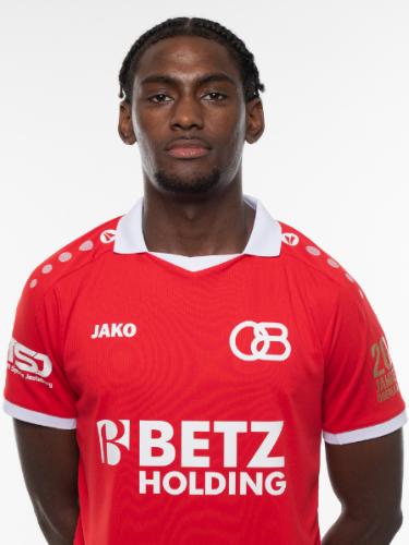 Leandro Mendes Tavares