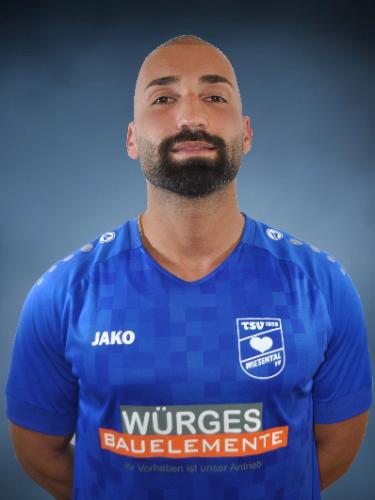 Tolga Türkoglu