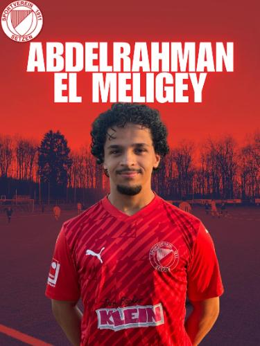 Abdelrahman El Meligey