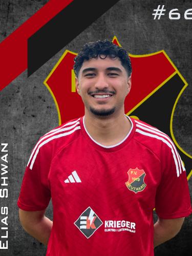Elias Shwan