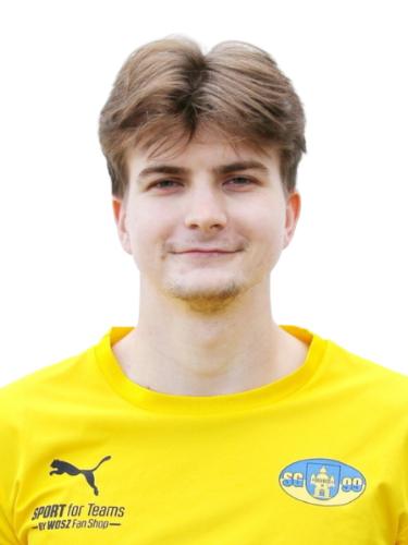 Julien Mehlow