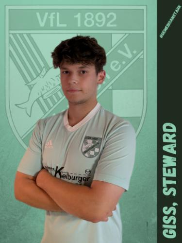 Steward Giss