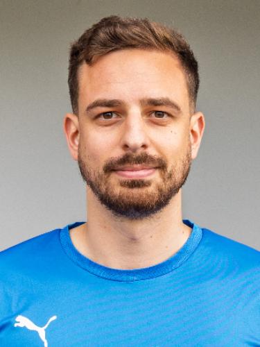 Damir Besirovic