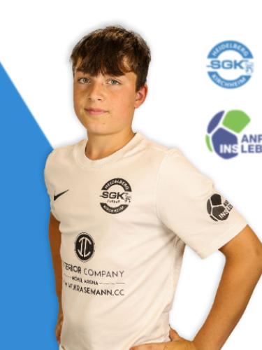 Henri Martin Casserly