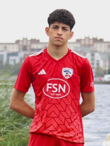 Mohammad Ilja Jahedi Kargar
