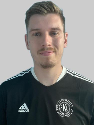 Haris Beslic