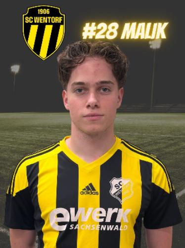 Malik Soner Ildir