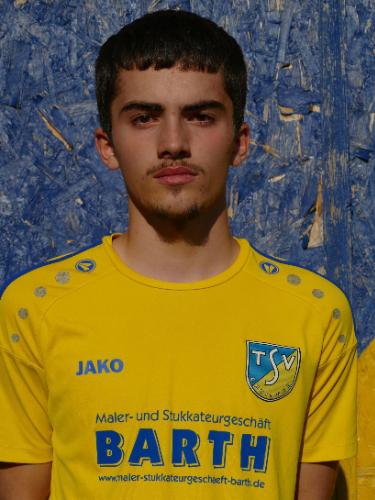Denis Demirovic
