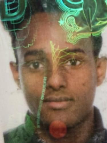 Brhane Hailemariam