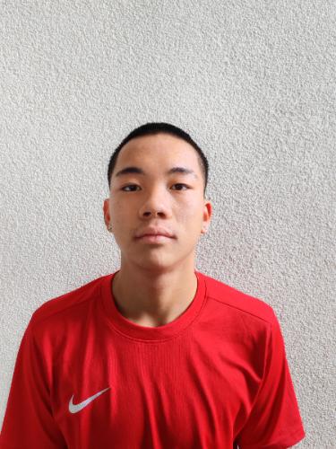 Duc Anh Dinh