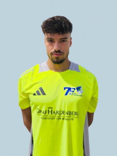 Justin Maurice Moulliet