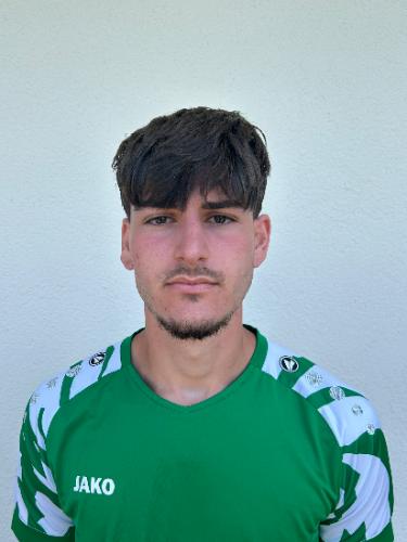 Elvis Dervishi