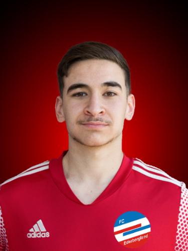 Dogan Dizlek