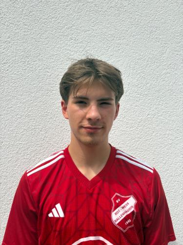 Theo Bachmann