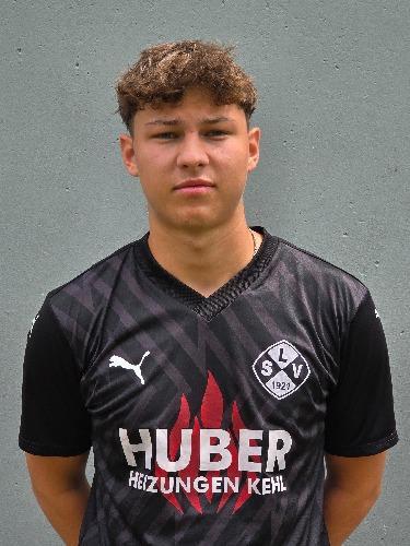 Hugo Pfundstein