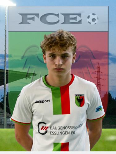 Niklas David Ocker
