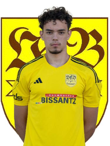 Martin Georgiev Iliev