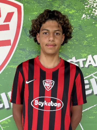 Berat Danacioglu