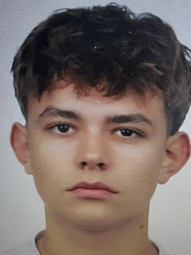 Maxim Dinu
