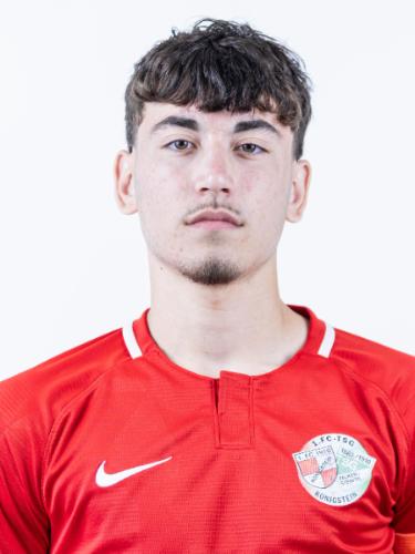 Anes Bajraktarevic