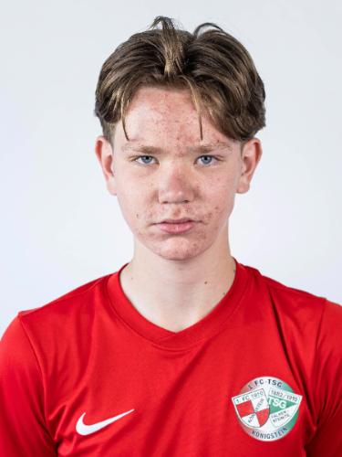 Vincent Englisch