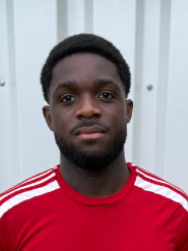 Jerry Delali Ayawovi Quashie