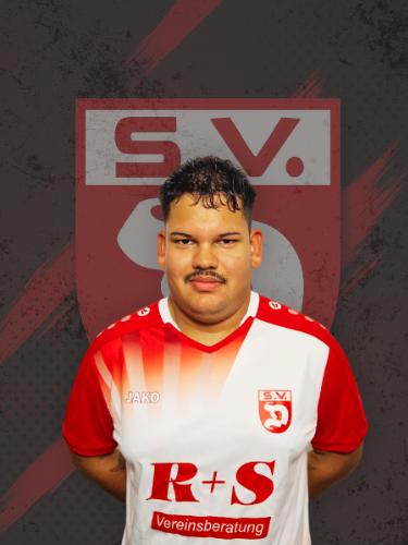 Alfredo Bosch