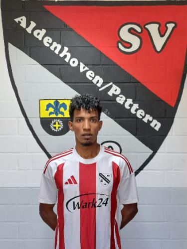 Mohamed Ahmed Ali Hefny
