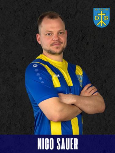 Nico Sauer