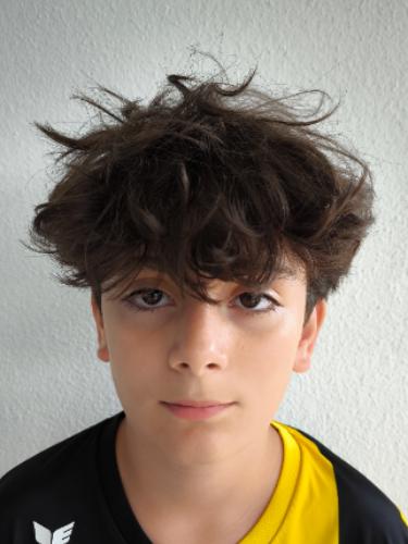 Mesud Yigit Akca