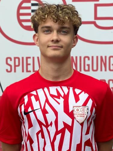 Lennart Zoll