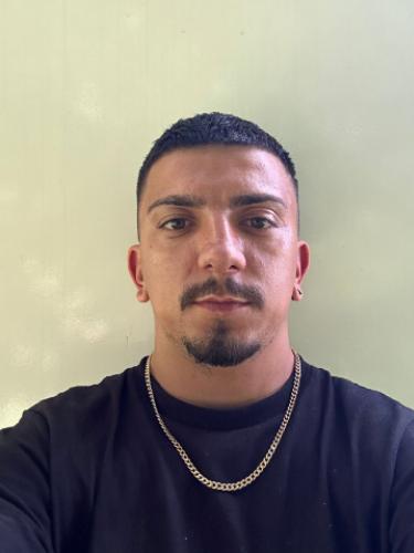 Adrian-Vladut Elfian
