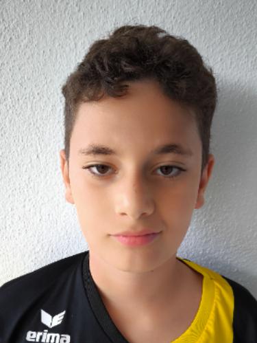 Raul-Gabriel Dobrescu