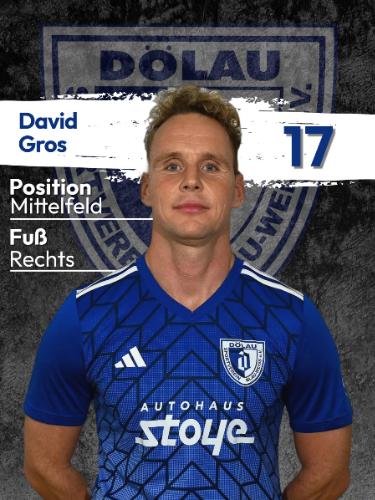 David Gros