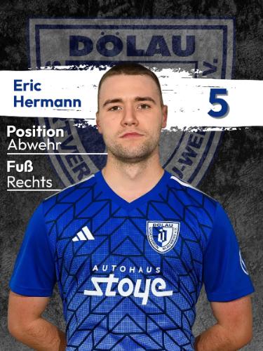 Eric Hermann