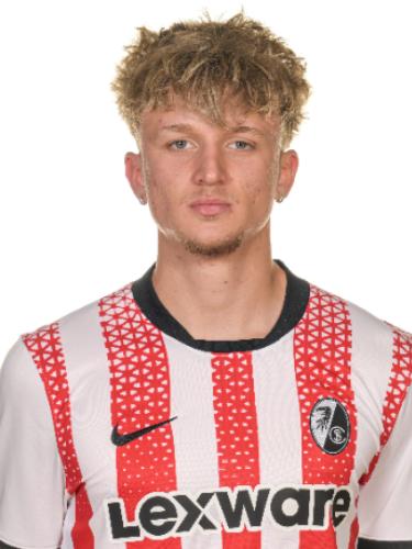 Raul-Florian Gogonea