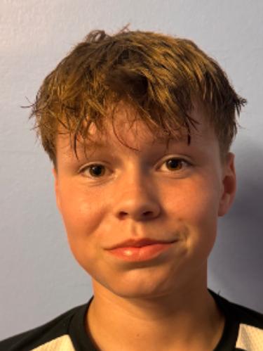 Niclas Henkel