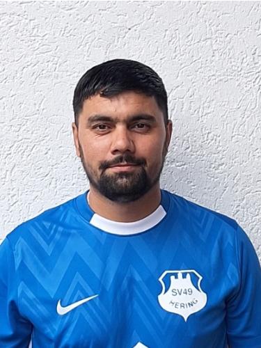 Ali Safarian
