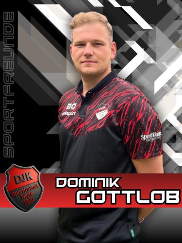 Dominik Gottlob