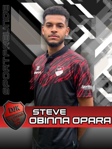 Steve Obinna Opara