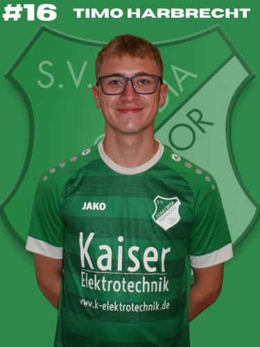 Timo Harbrecht