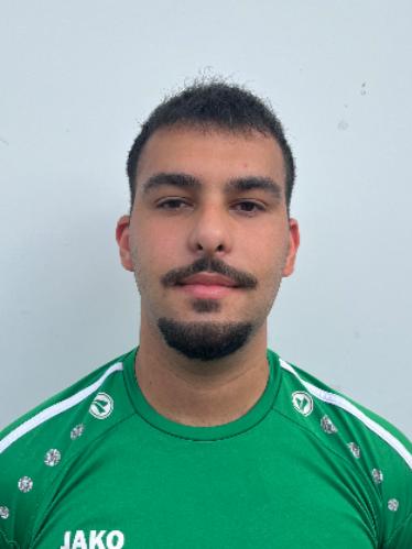 Giuliano Paravizzini