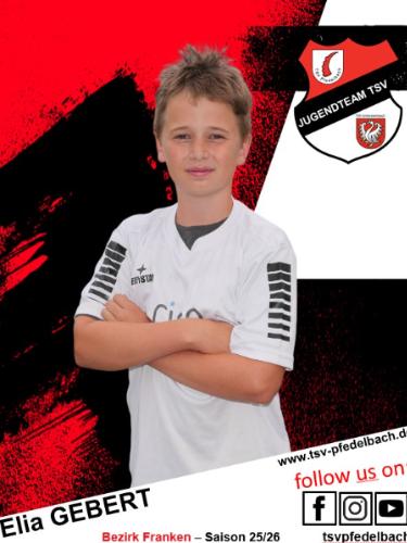 Elia Gebert