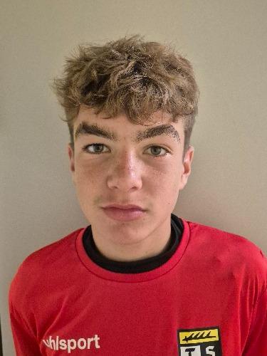 Luca de Noni