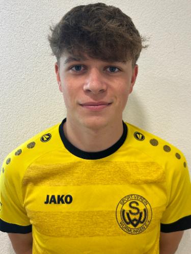 Johannes Riegger